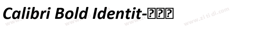 Calibri Bold Identit字体转换